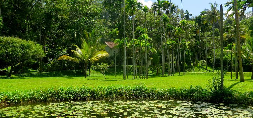 Siri Wedamadura Villa Weligama Szoba fotó